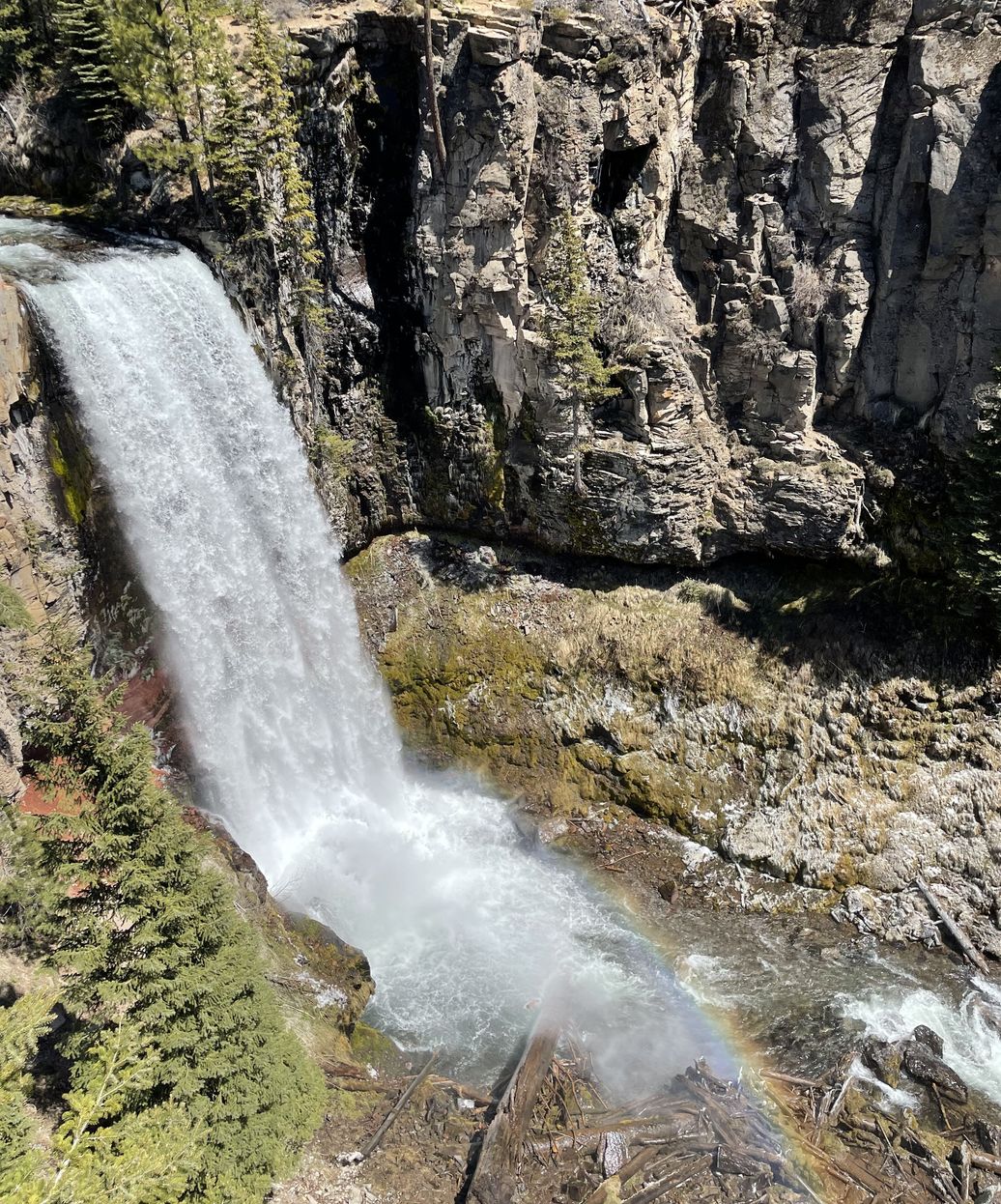 Image of max, the owner and developer of pyrobyte web solutions