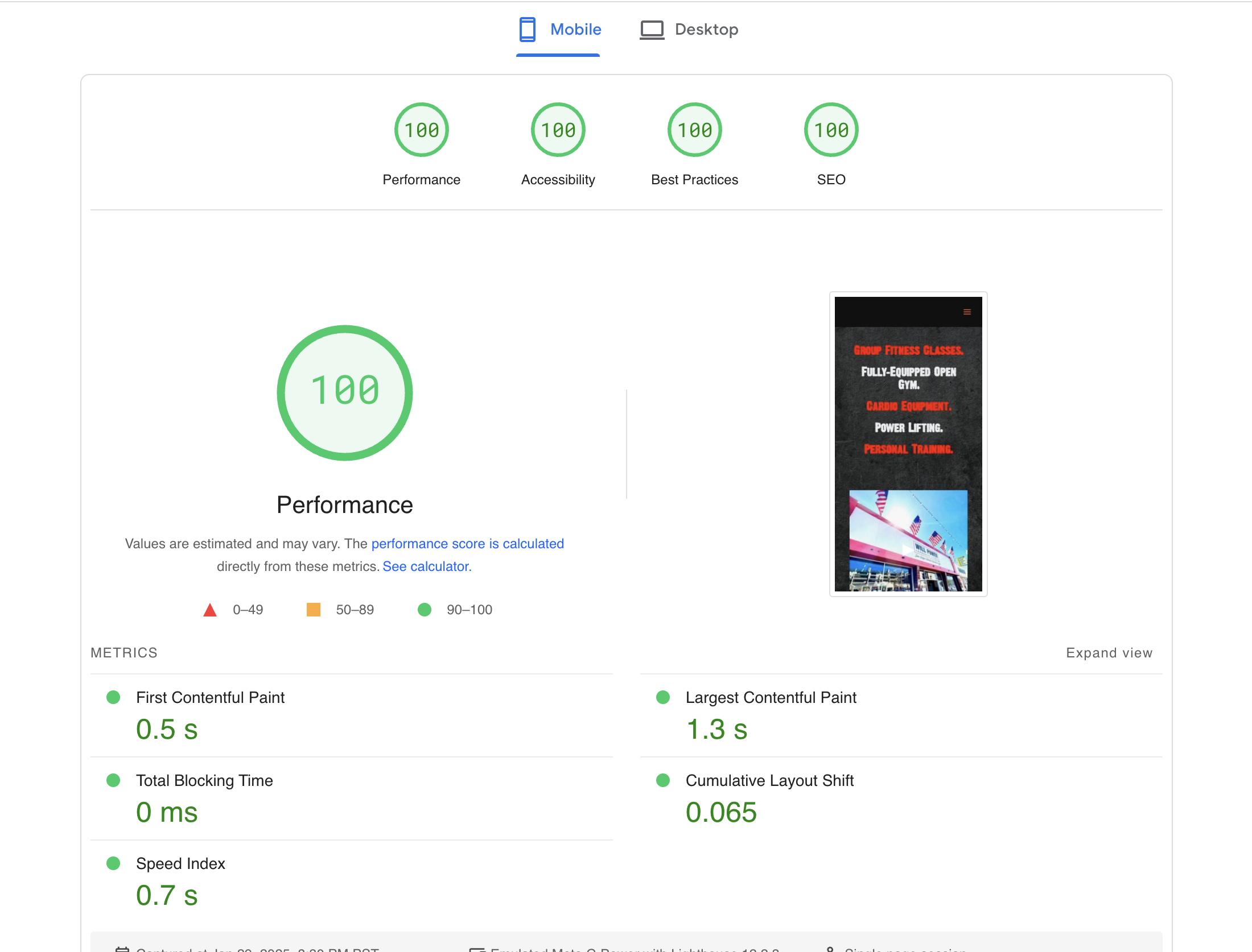 a screenshot showing perfect Google pagespeed scores